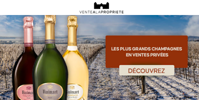 Découvrez les plus grands vins et champagnes